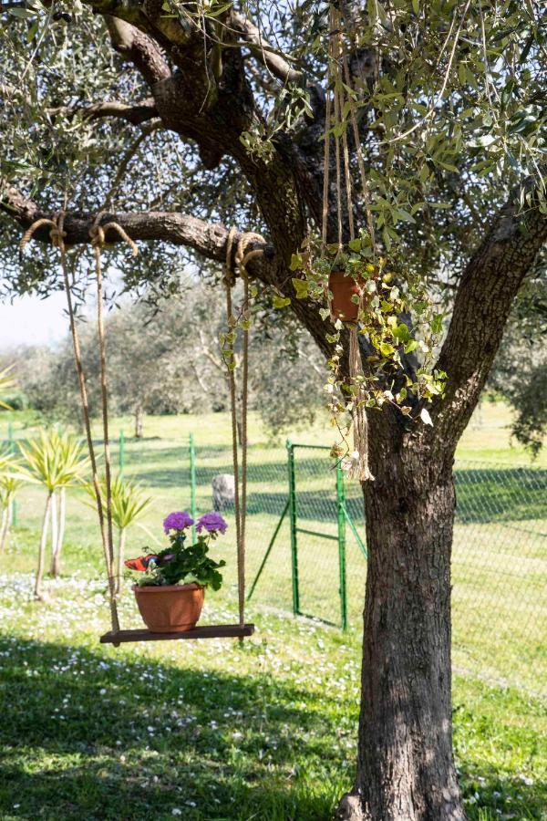 Casa Vacanze Oleandri Villa Ameglia Dış mekan fotoğraf